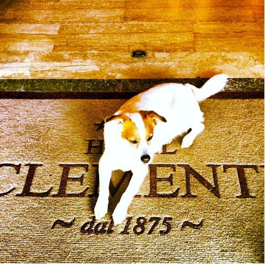Hotel Clementi Salice Terme Exterior photo